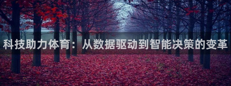 科技助力体育：从数据驱动到智能决策的变革