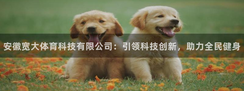 安徽宽大体育科技有限公司：引领科技创新，助力全民健身