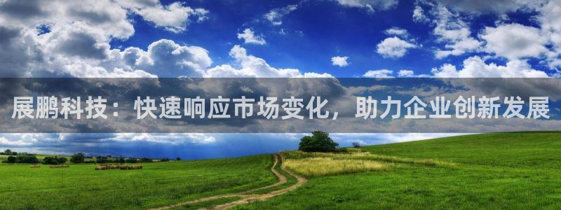 展鹏科技：快速响应市场变化，助力企业创新发展