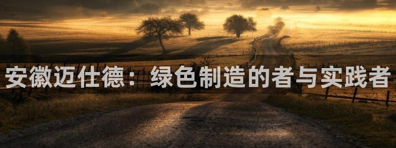安徽迈仕德：绿色制造的者与实践者