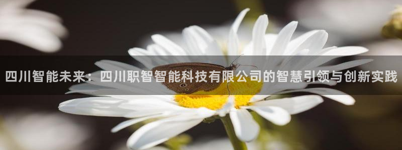 四川智能未来：四川职智智能科技有限公司的智慧引领与创新实践
