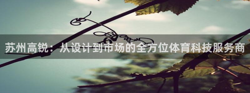苏州高锐：从设计到市场的全方位体育科技服务商