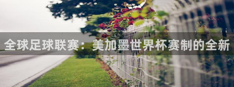 全球足球联赛：美加墨世界杯赛制的全新