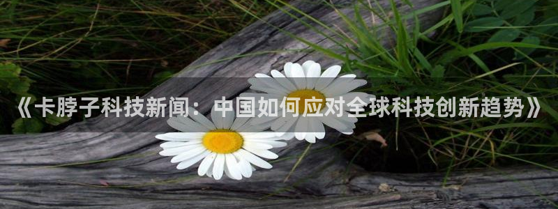 《卡脖子科技新闻：中国如何应对全球科技创新趋势》