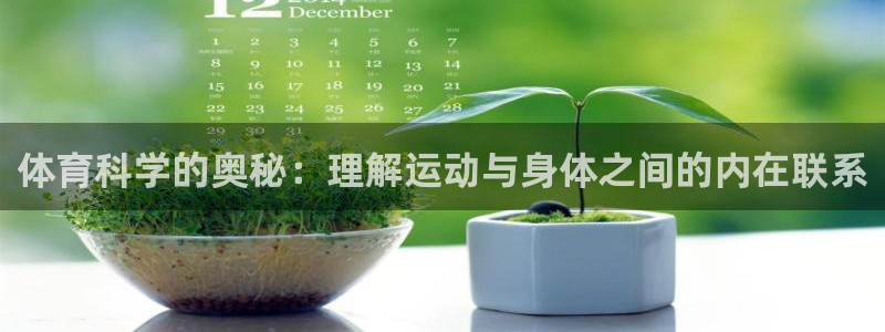体育科学的奥秘：理解运动与身体之间的内在联系