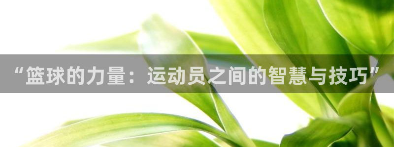 “篮球的力量：运动员之间的智慧与技巧”