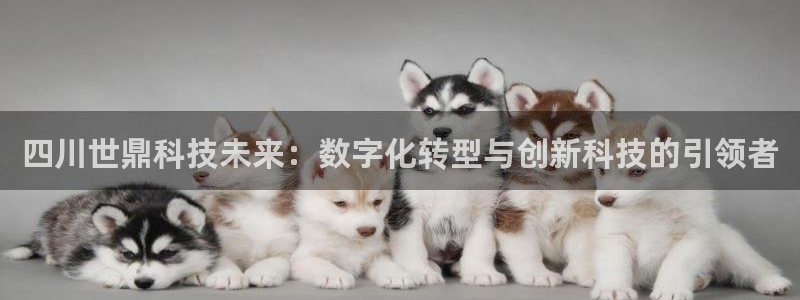 四川世鼎科技未来：数字化转型与创新科技的引领者