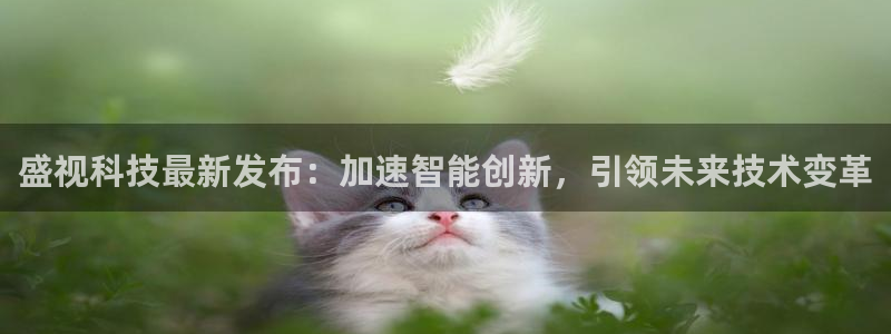 盛视科技最新发布：加速智能创新，引领未来技术变革