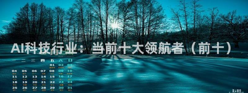 AI科技行业：当前十大领航者（前十）